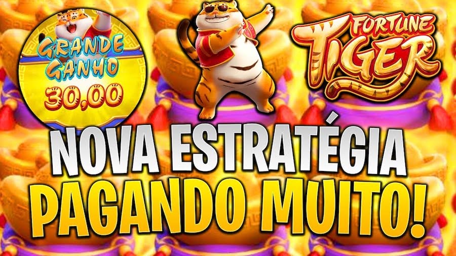 meu carne leao